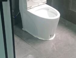 衛(wèi)生間有異味，有什么去除小技巧呢？